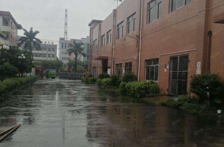 中堂镇3000平方（大小可分租）独门独院双证标准厂房低价出租