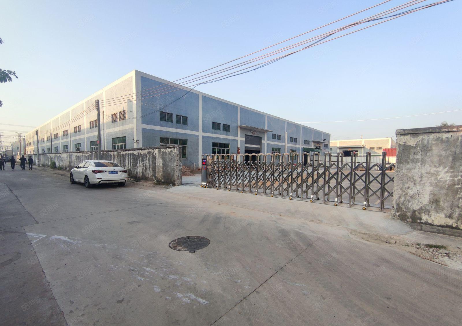 中堂镇原房东独院单一层厂房出租4500平米滴水7.5米高