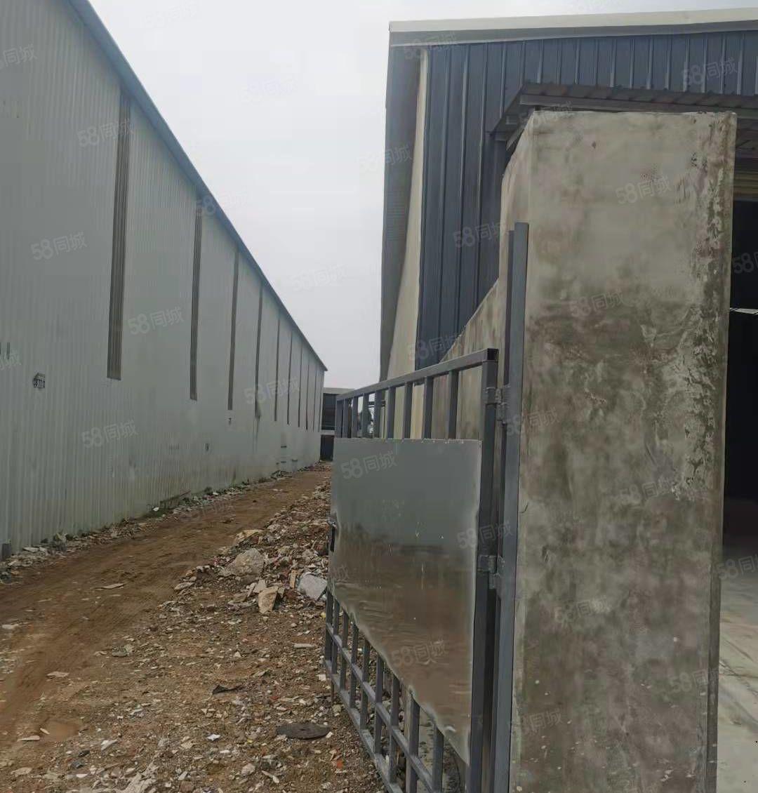 新！东莞中堂镇全新轻钢单层工业厂房,四正好用独门独院