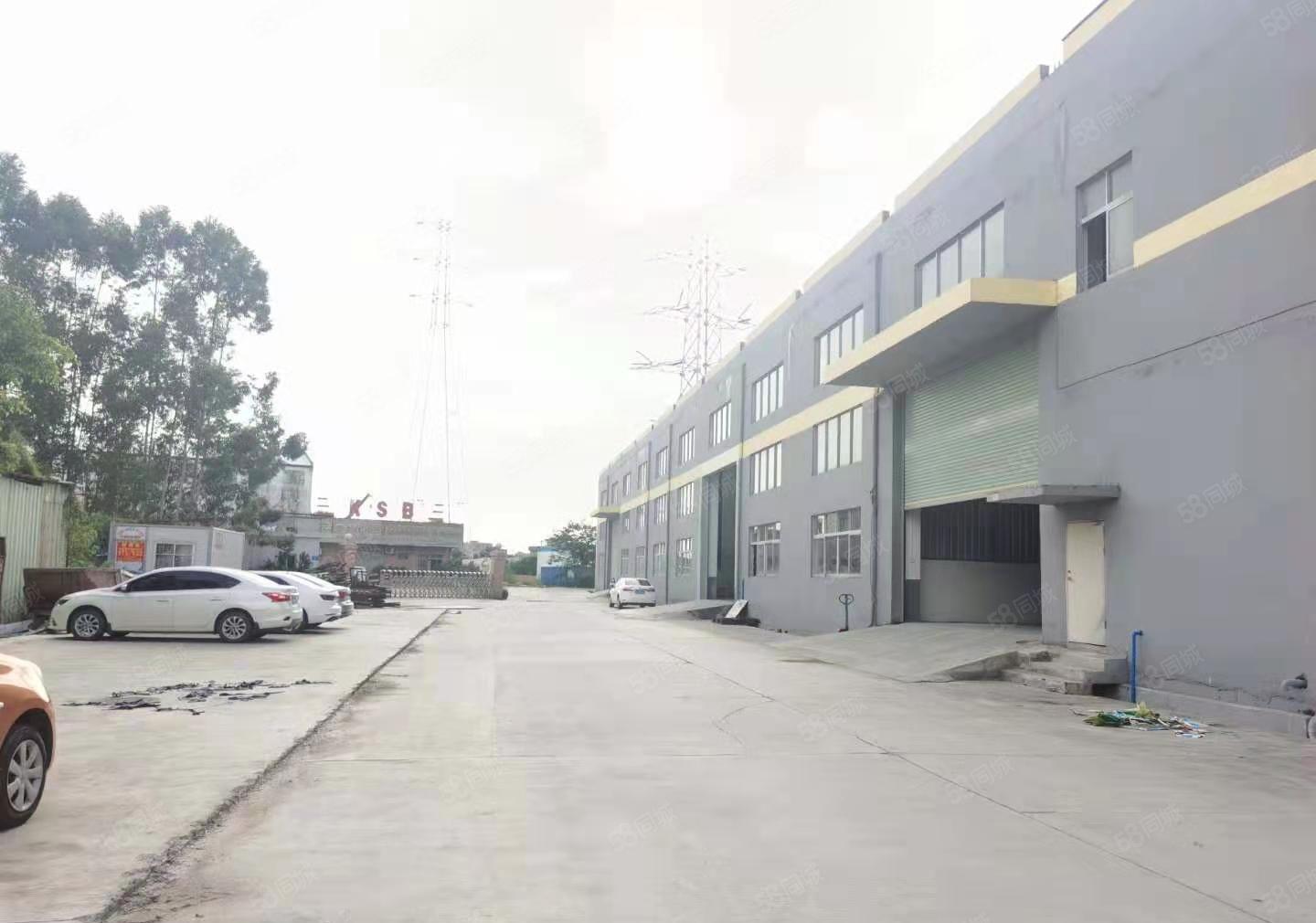 （经济厂房）中堂镇独门独院厂房500平方18元平方