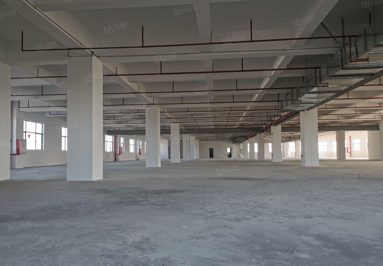 中堂镇全新高新产业园厂房出租