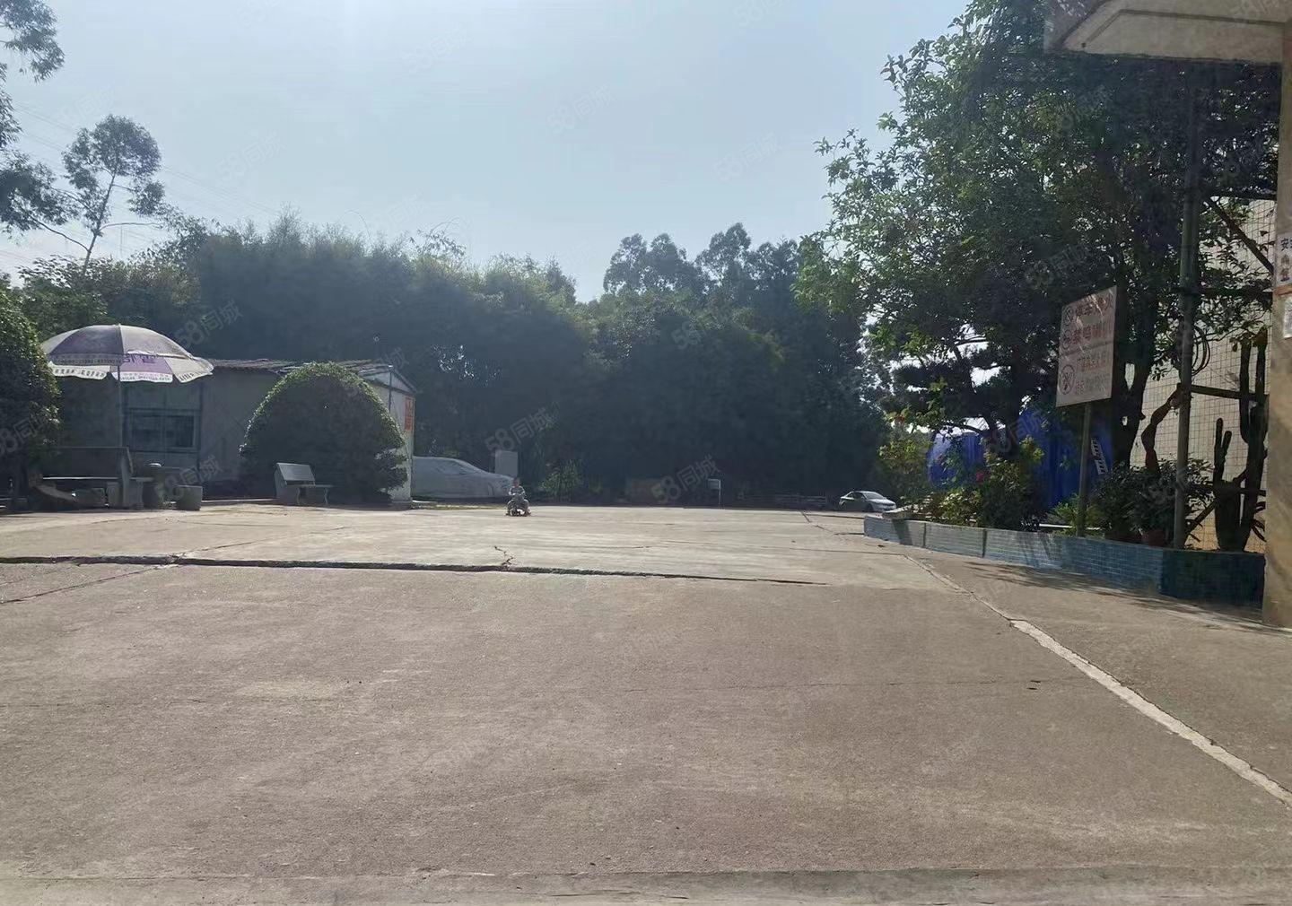 中堂 重工业用地 原房东 单一层厂房 2500平方 厂房出租