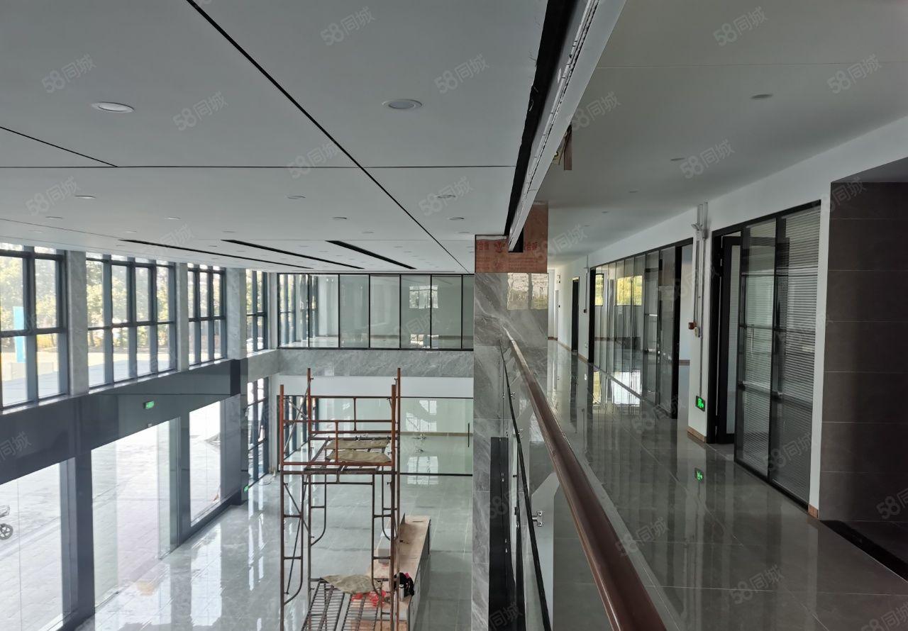 中堂镇全新高新产业园厂房出租