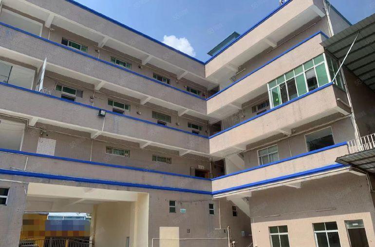 中堂镇低价9.9块，600平标准带现成精装修办公厂房出租