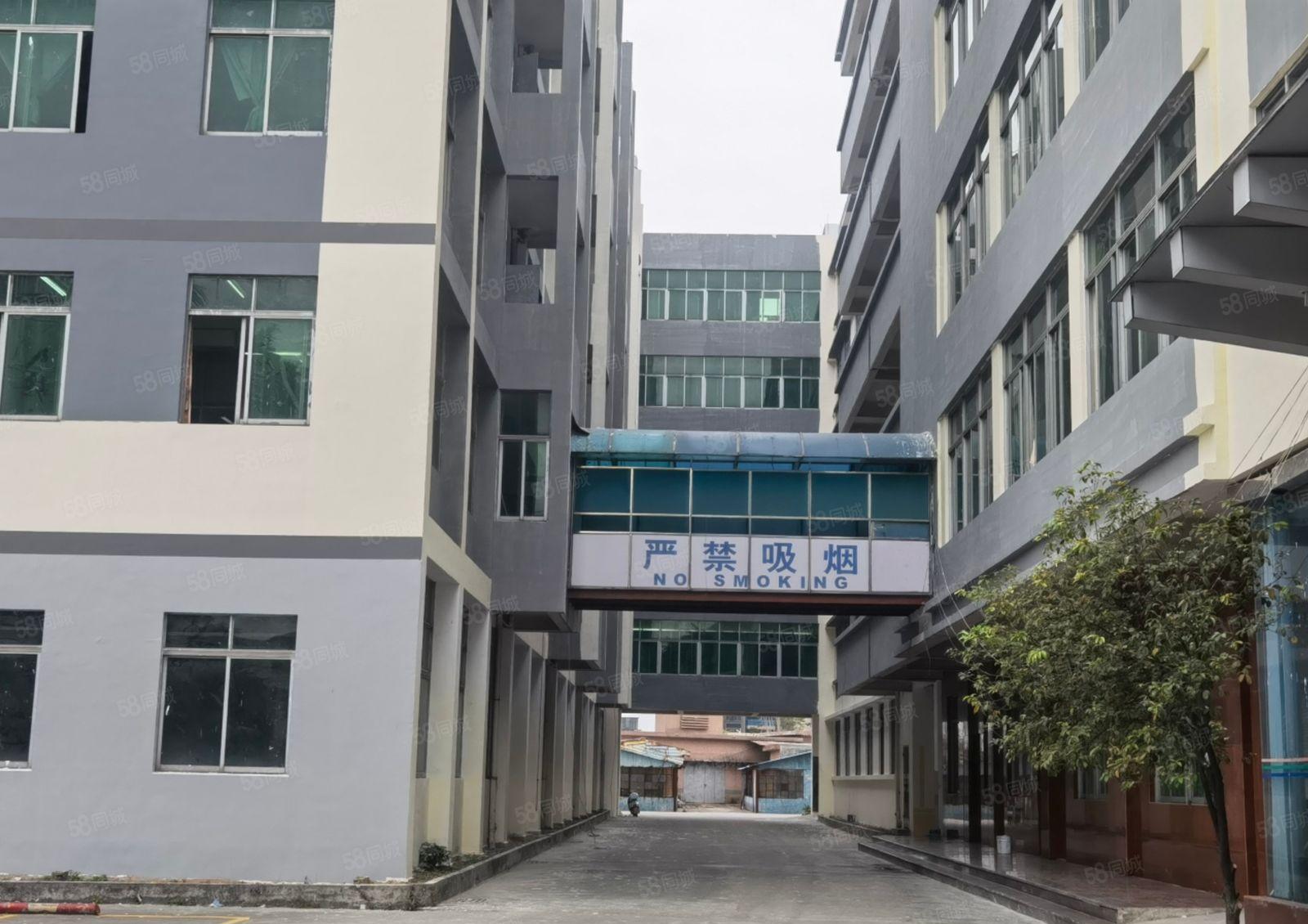 中堂北王路实业客户转租厂房出租价格便宜