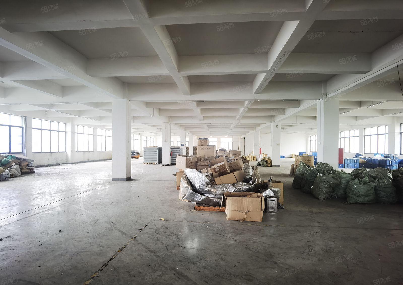 中堂镇独院标准厂房出租6000平方可分租带装修证件齐价格优惠