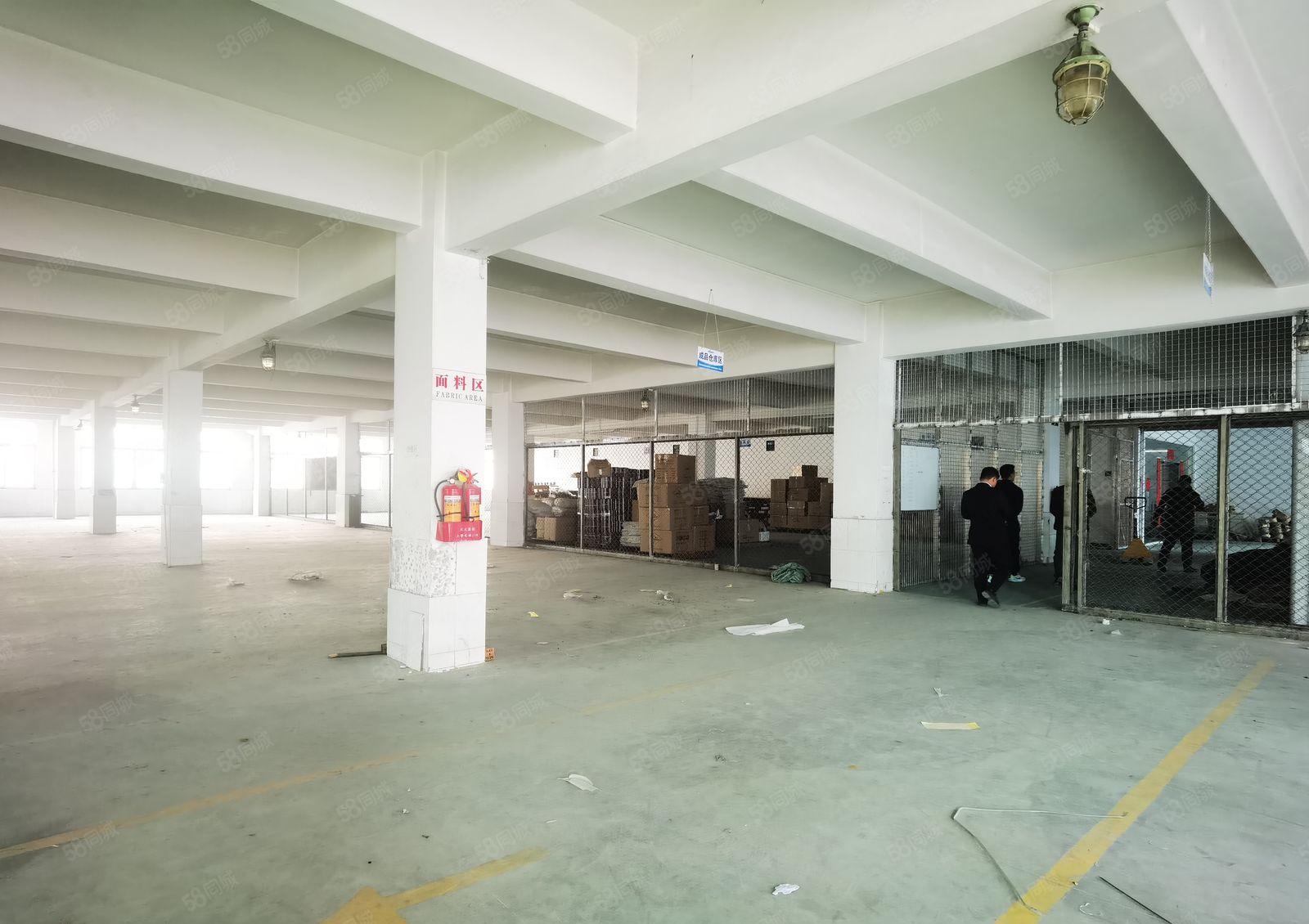 中堂镇独院标准厂房出租二楼2000平方带装修价格优惠车位充足