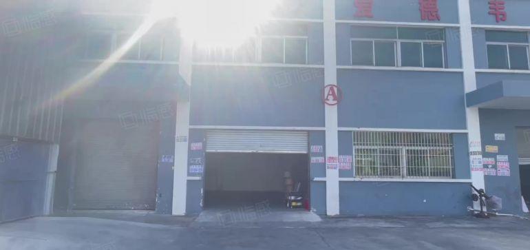 中堂300平标准一楼出租，现成办公室装修。