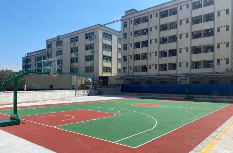 中堂现成食品环评园区厂房6000平方大小可分蒸汽齐全