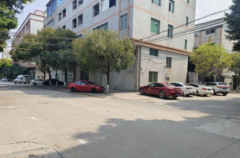 中堂镇   小独院800平方厂房出租，有宿舍办公室