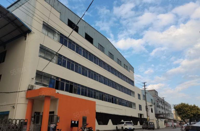 中堂原房东标准厂房出租，低至12元每平米