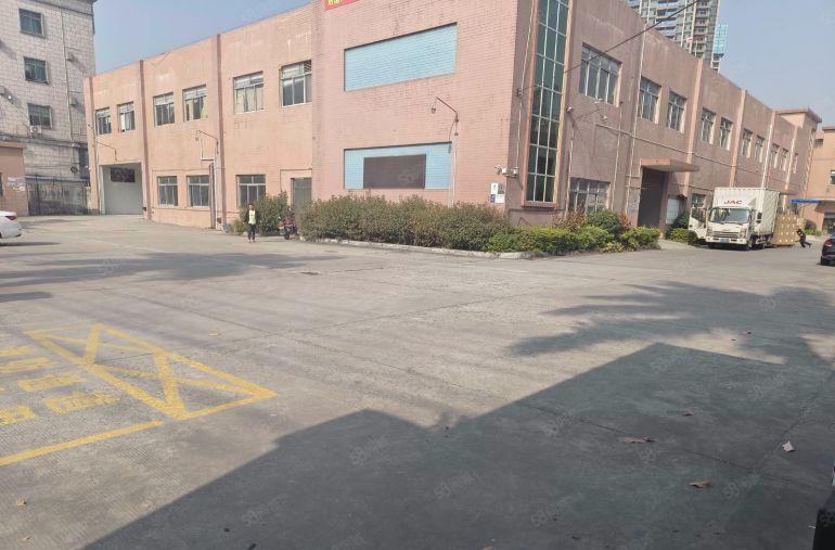 中堂镇 标准一楼仓库厂房出租，高6米，交通方便