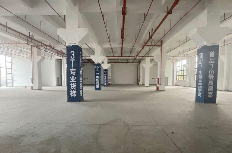 中堂原房东全新7米高标准厂房1500平出租，证件齐全。