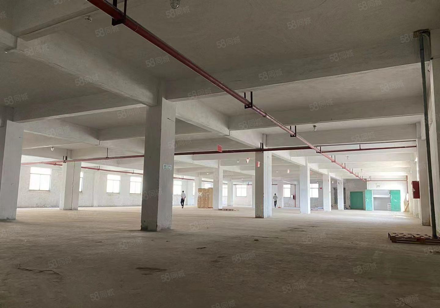 中堂 重工业用地 原房东 单一层厂房 2500平方 厂房出租