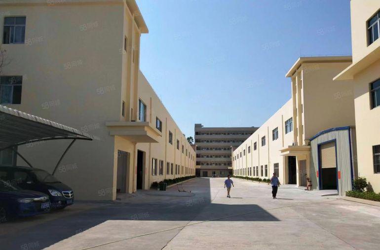 中堂独院厂房出租独院厂房招租6000平方二层二栋可分租可整租