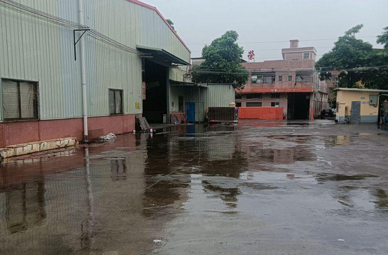 中堂 全新独院3000平方 高10米单一层钢构厂房出租