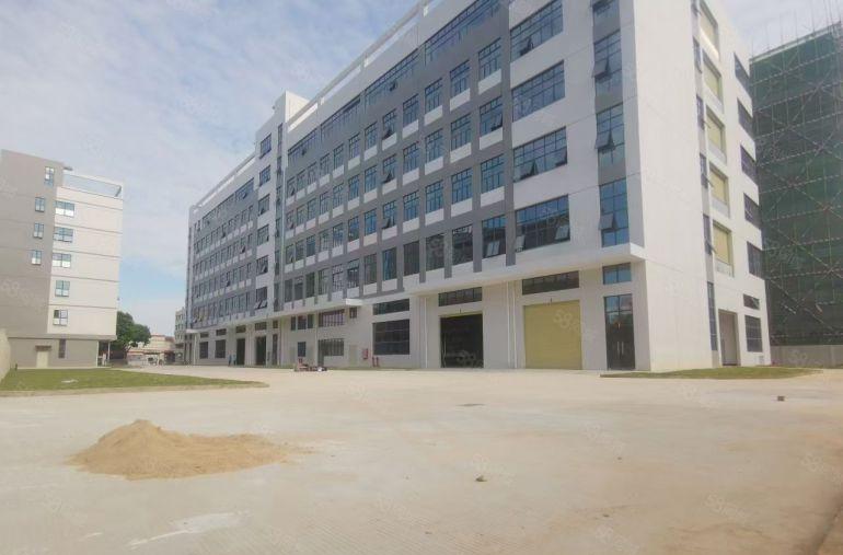 中堂镇新出独门独院三层标准厂房出租22500平方米（单层面积