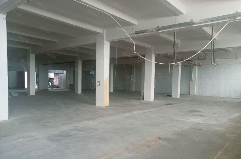 中堂  原房东一楼1000平方，厂房出租  低价10元