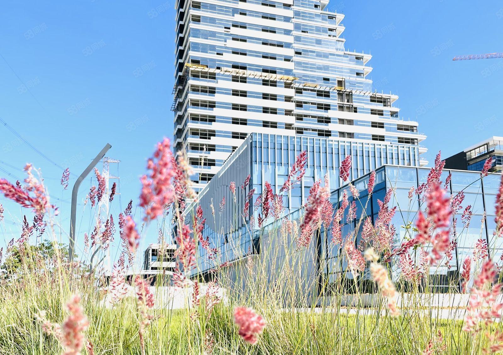 东莞市中堂镇天安数码高新科技园写字楼厂房隆重招商！！！！！！