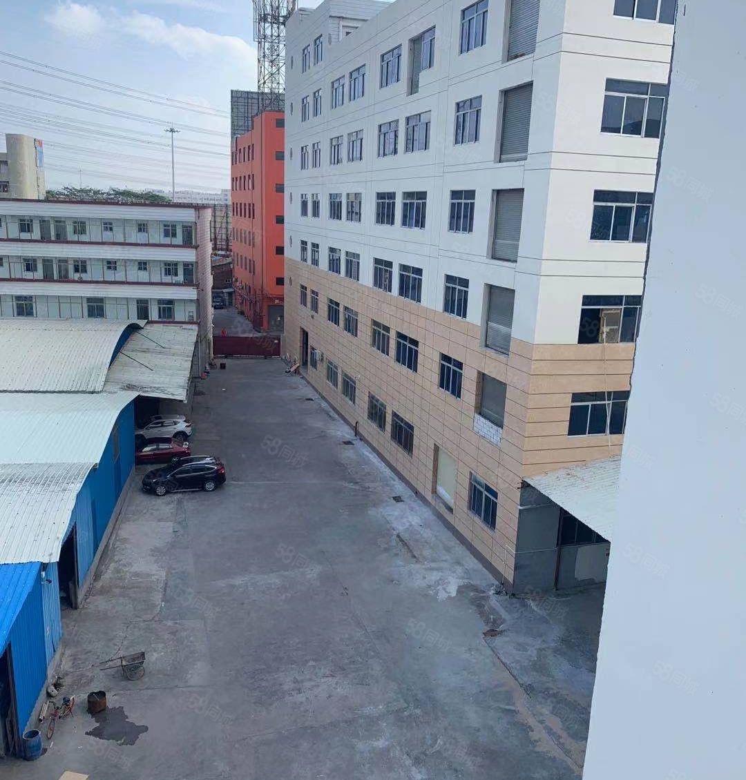 中堂107国道厂房1200平低价出租