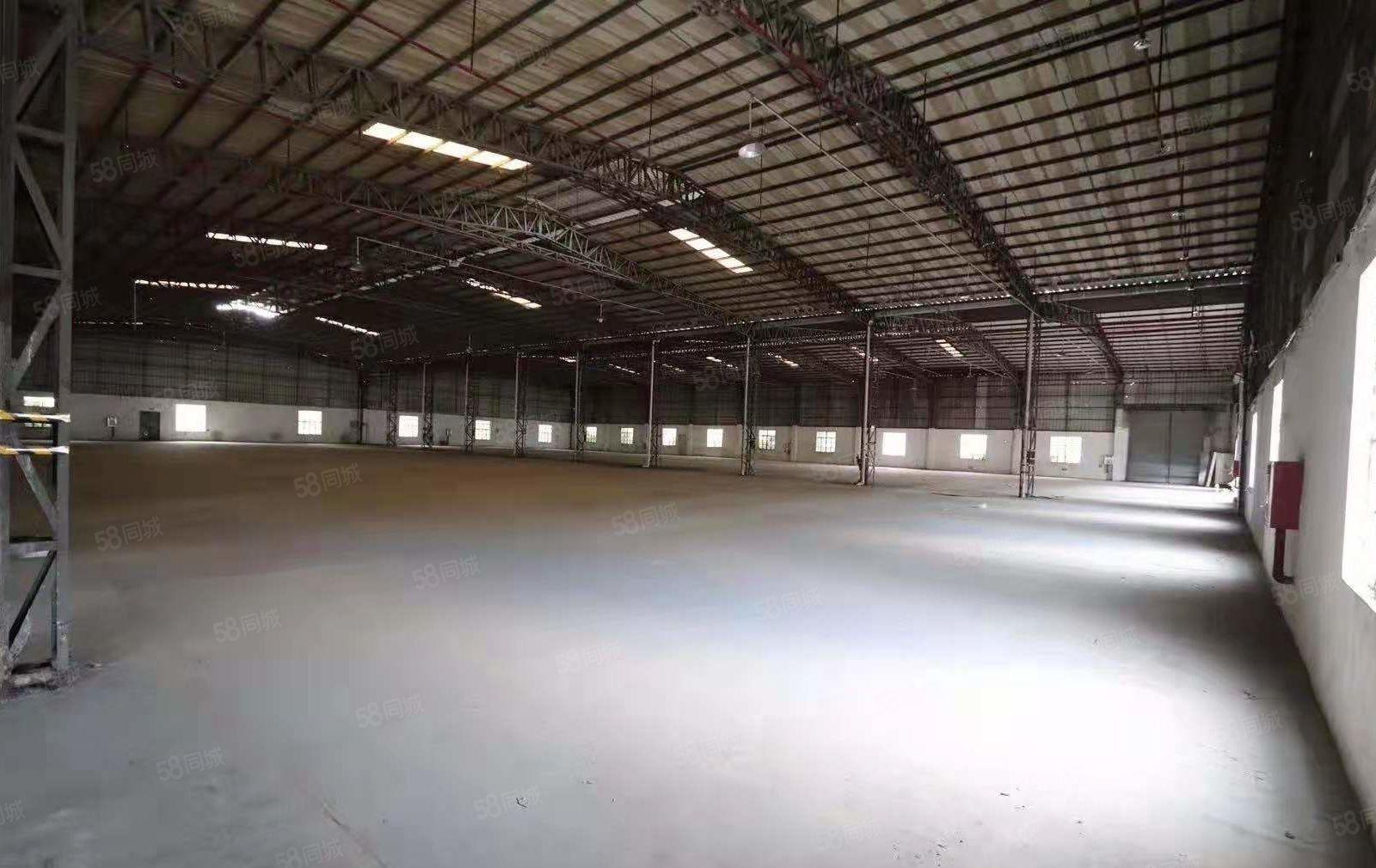 （经济厂房）中堂镇单一层钢构800平方经济厂房