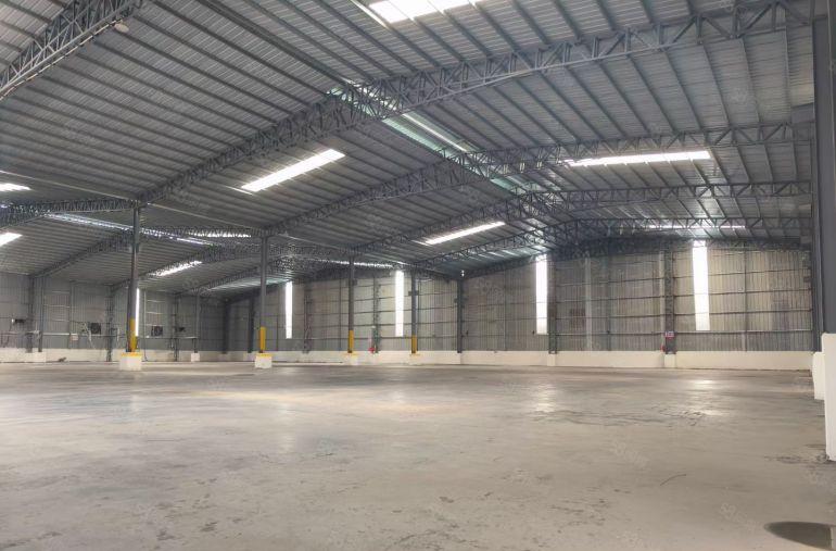 中堂 全新独院3000平方 高10米单一层钢构厂房出租