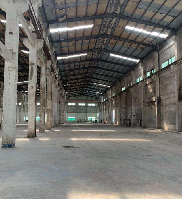 水乡片区滴水15米高单一层出租 带一万五空地