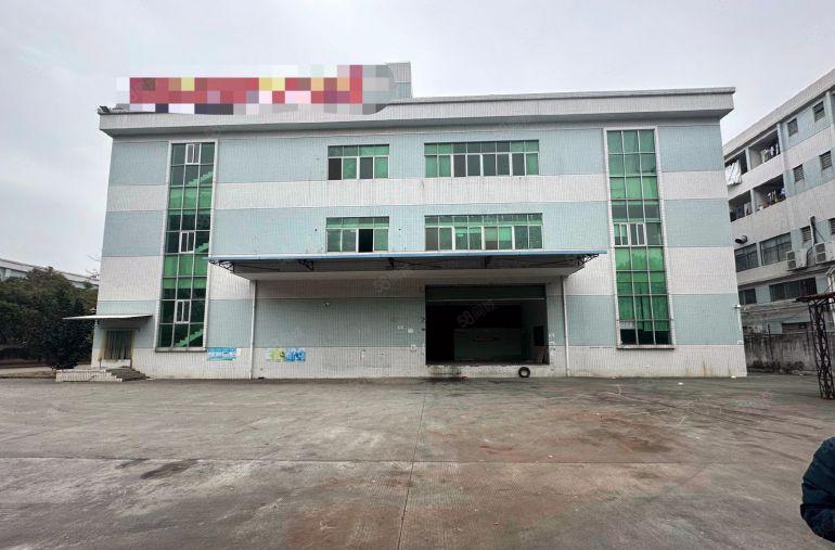 高埗镇花园式标准独院厂房，主干道旁，带卸货平台，超大空地