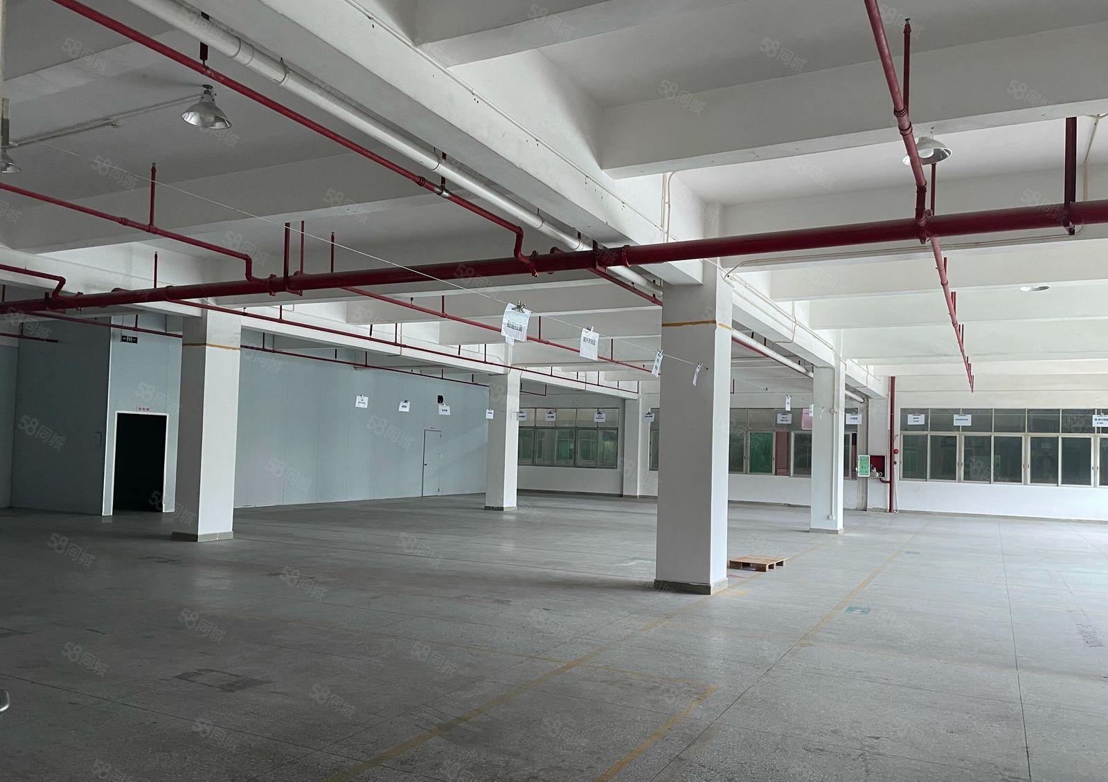 东莞高埗镇独门独院17600平空地大形象好现成食品厂房