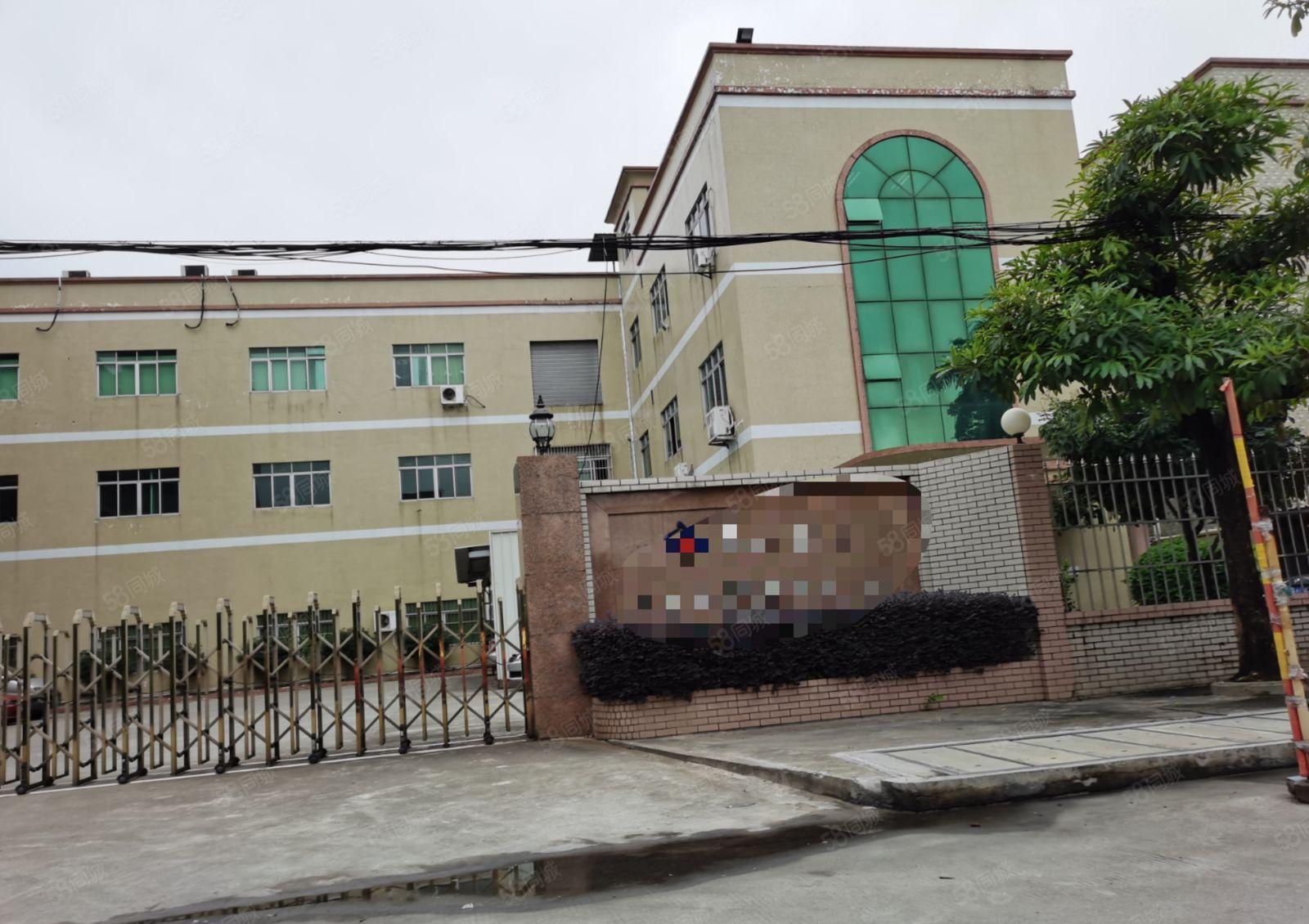 高埗镇私人，村委会工业区独院厂房招租大小都有（高埗工业办）