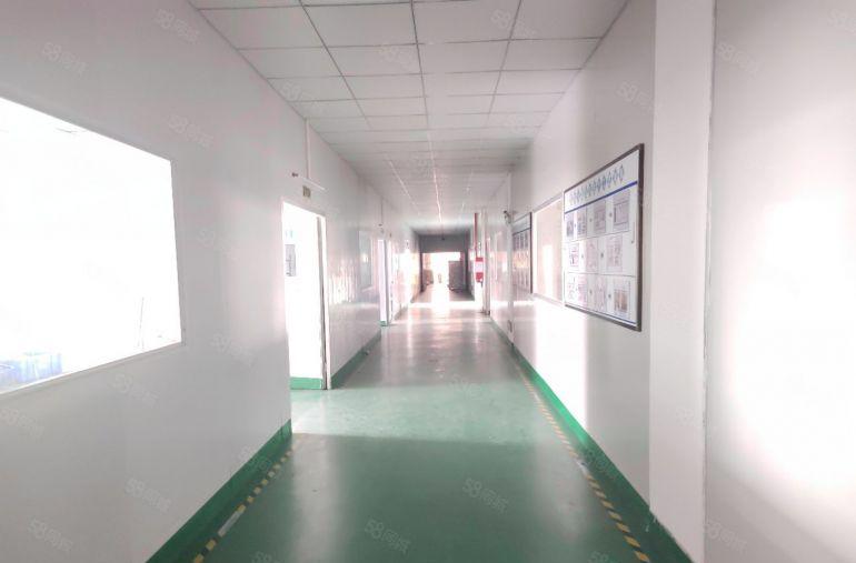 高埗镇原房东厂房出租二楼2400平方带现成精装修入驻即生产