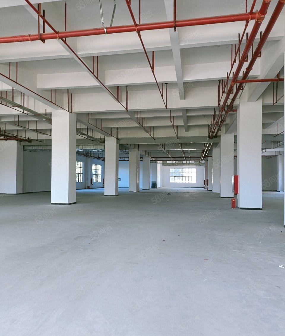 十元厂房出租200平方起租，价格优惠多多，工业区好办环评