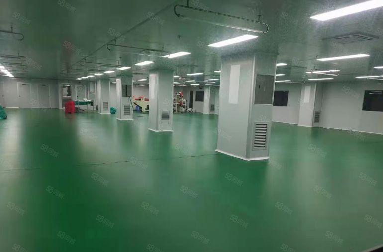 高埗镇各村厂房出租大小都有欢迎咨询低价至9.9每方年底大放送