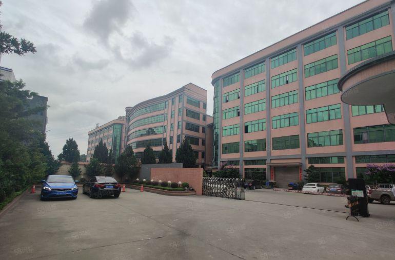 村委厂房零公摊7元低价甩租高埗万江中堂3千平一楼仓库出租可分