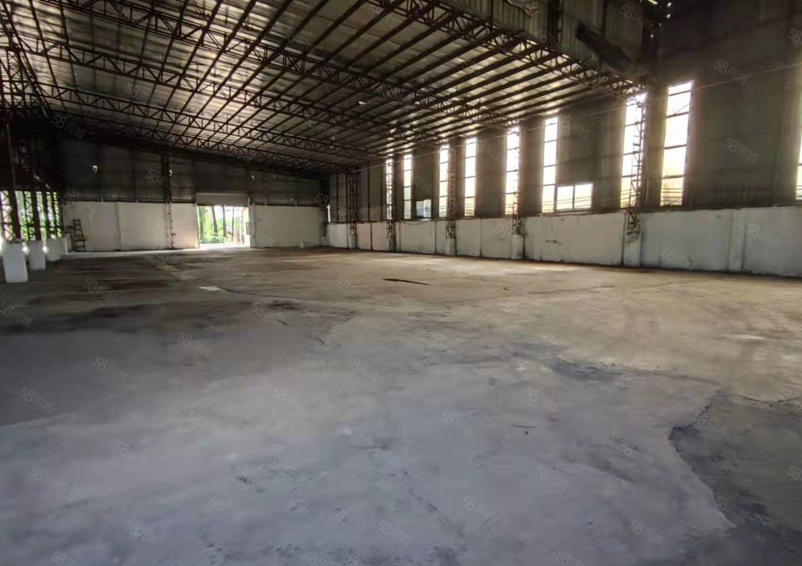 高埗镇单一层钢构厂房招租