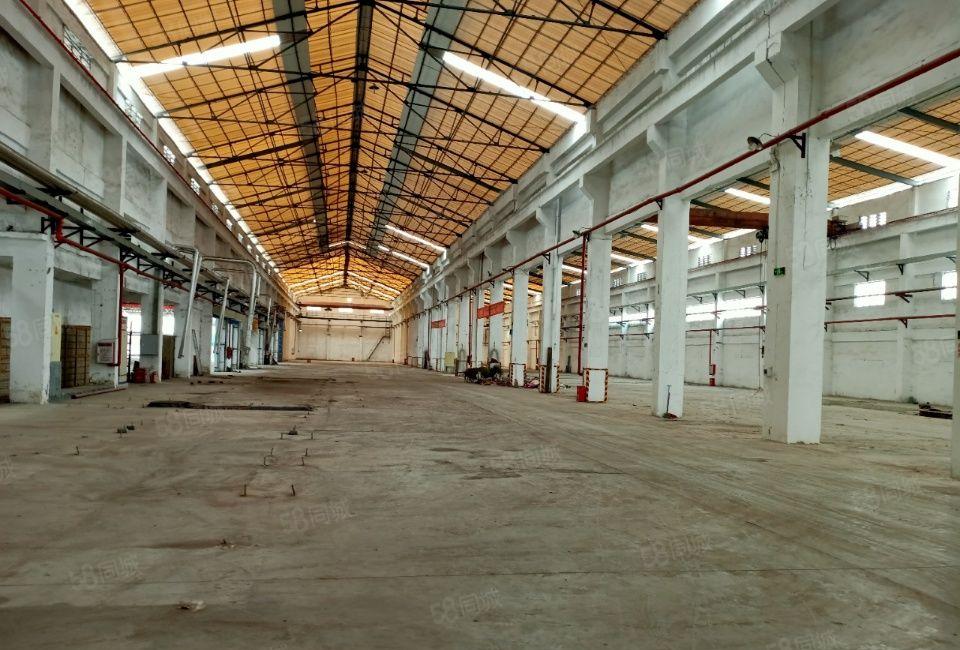 东莞高埗镇单一层钢结构厂房出租，可以办环评，可以分租