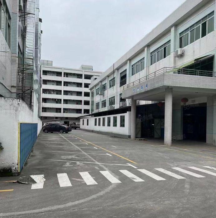 高埗镇独门独院原房东出租标准三层楼房12000平，可分租