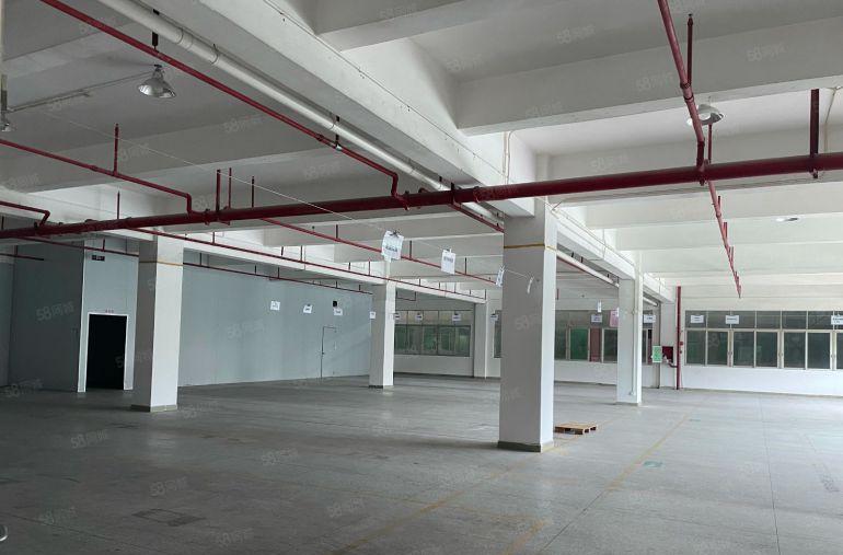 虎门原房东独门独院8600平 空地大现成食品厂房带装修