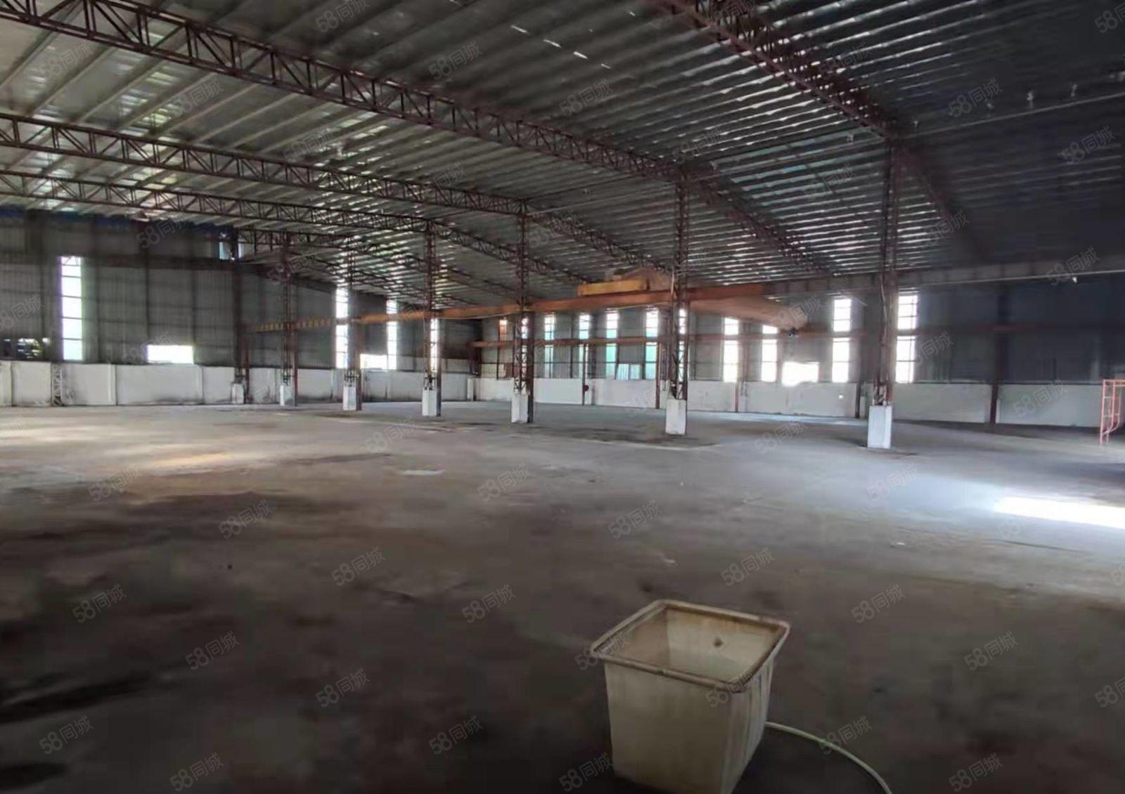 高埗镇单一层钢构厂房招租