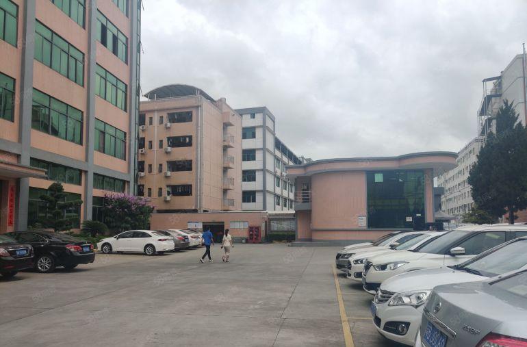 村委厂房零公摊7元低价甩租高埗万江中堂3千平一楼仓库出租可分