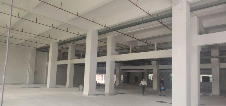 村委厂房零公摊7元低价甩租高埗万江中堂3千平一楼仓库出租可分