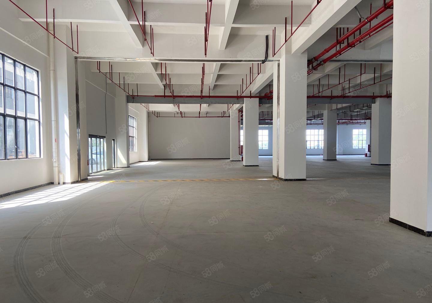 高埗全新独院重工业厂房