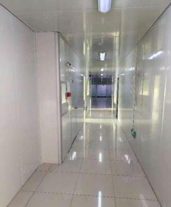 高埗园区分厂房出租，无尘车一楼楼上面积6000平可灵活分租