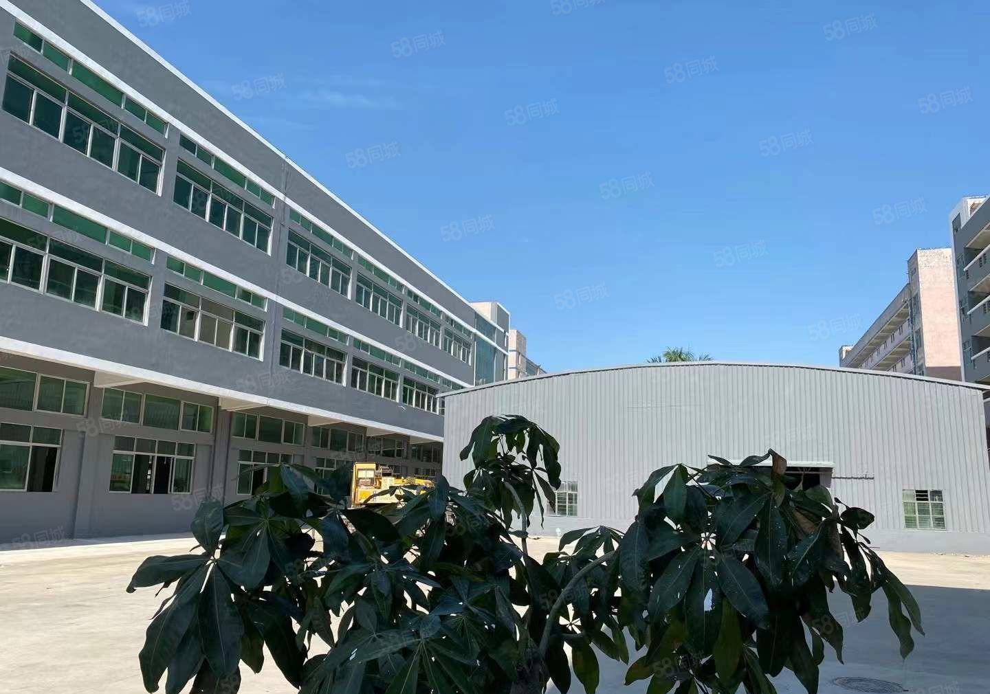 高埗新出超大标准独院分租