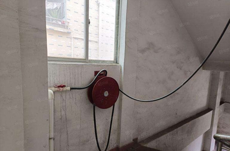 8元厂房招租！高埗新出环城路外标准厂房出租850平，四楼