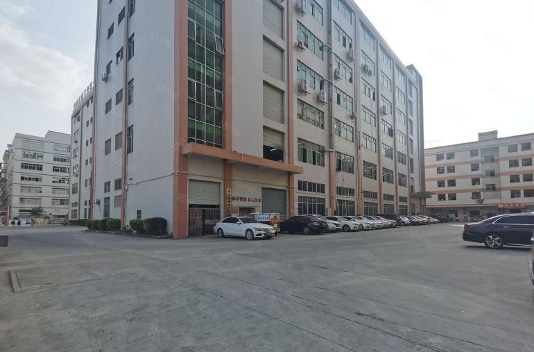 一手资源无公摊甩租高埗万江中堂3千平一楼仓库厂房出租大小可分