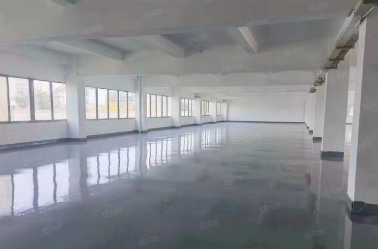 独院全新厂房超大空地8.8元出租，适合仓库电子加工等各行业