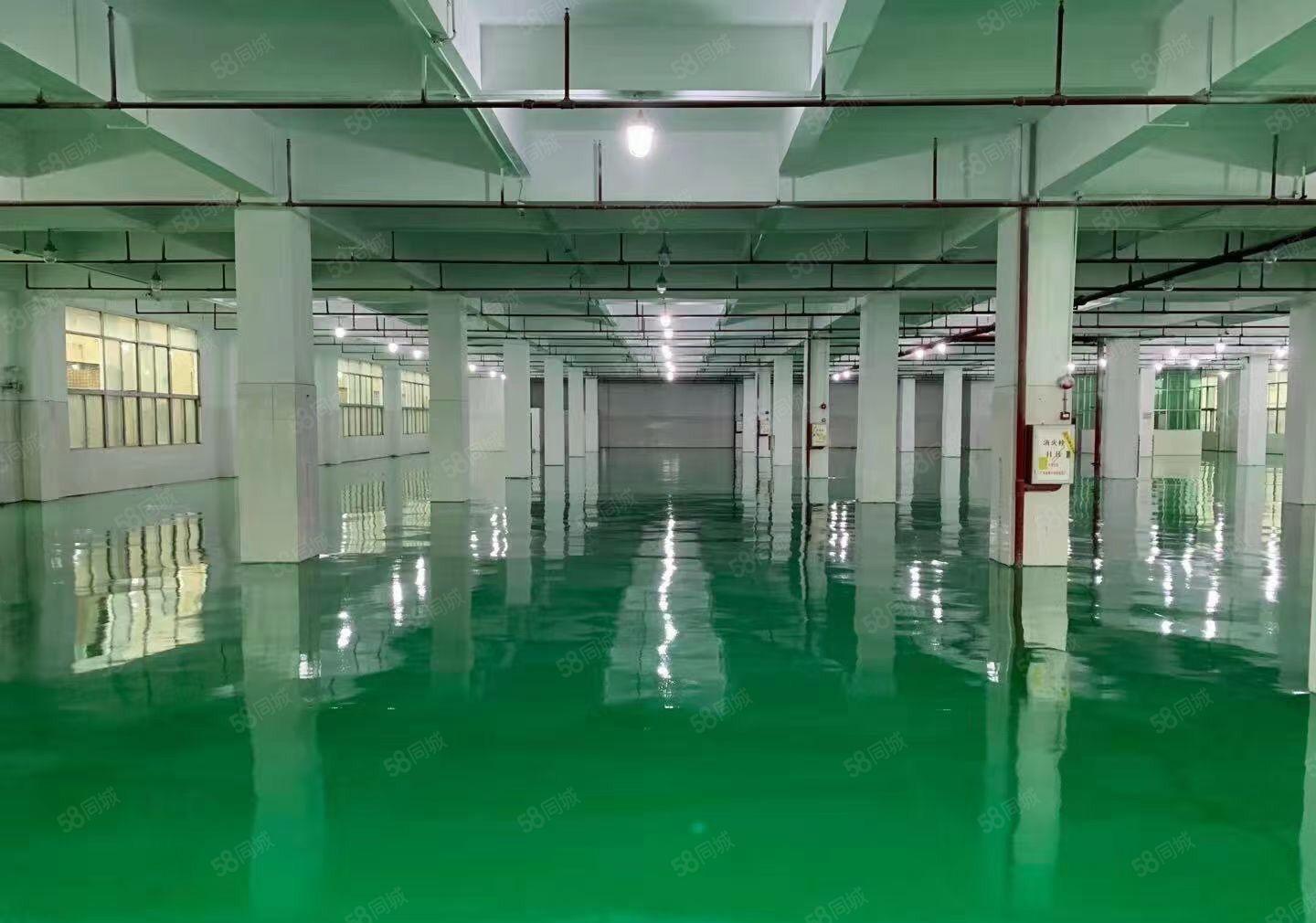 租金仅13平高埗镇冼沙独院标准厂房4300平空地大可分租