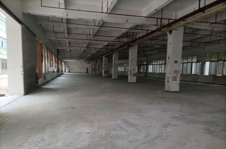 高埗镇工业园出租25000平方，可任意分租，形象好，价格便宜