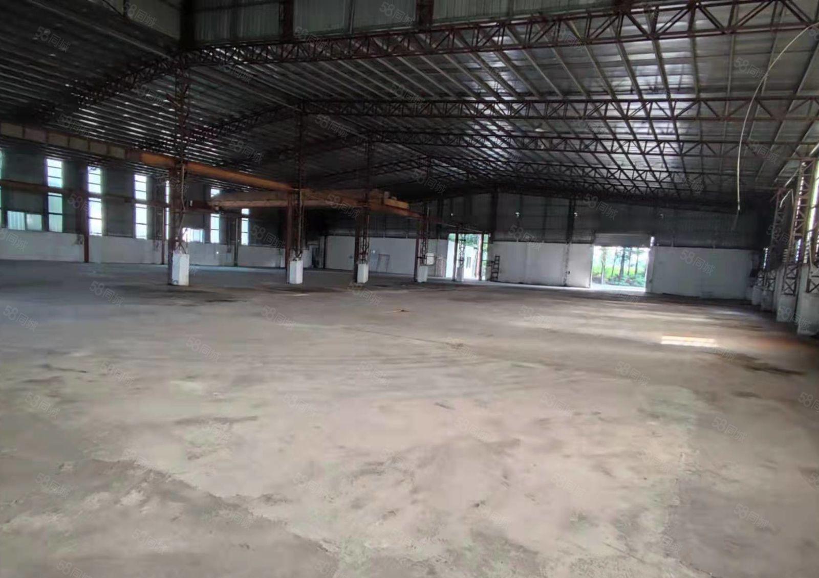 高埗镇单一层钢构厂房招租